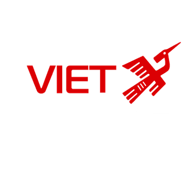 VietSolve