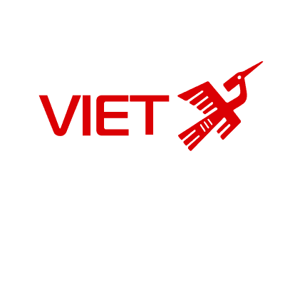 VietSolve Logo